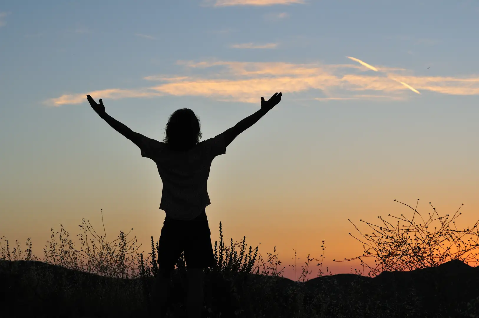 A happy person is standing triumphantly in a field.